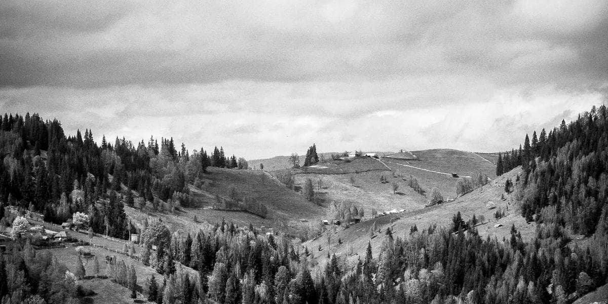 Professional accountant working on tax documents